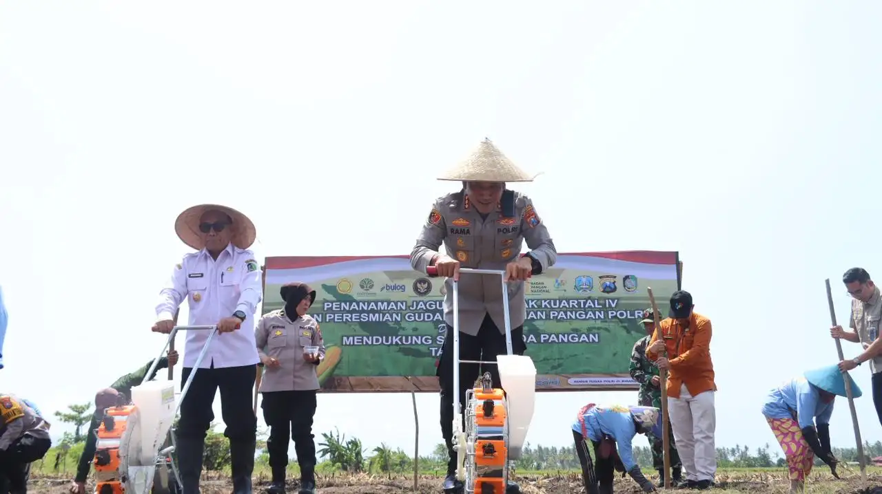 Foto Implementasi Asta Cita Presiden; Polresta Banyuwangi Tanam Jagung Serentak  Kuartal IV  2025